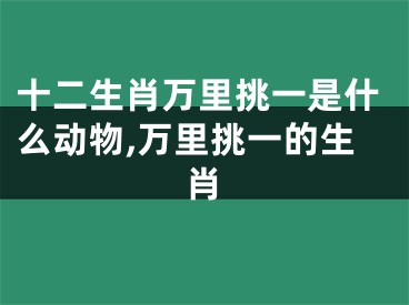 十二生肖万里挑一是什么动物,万里挑一的生肖