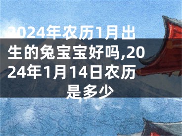 2024年农历1月出生的兔宝宝好吗,2024年1月14日农历是多少