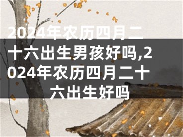 2024年农历四月二十六出生男孩好吗,2024年农历四月二十六出生好吗