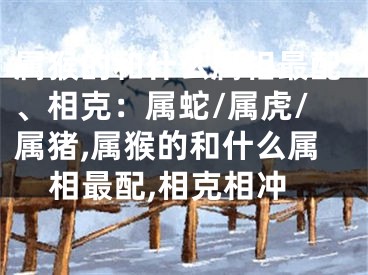 属猴的和什么属相最配、相克：属蛇/属虎/属猪,属猴的和什么属相最配,相克相冲