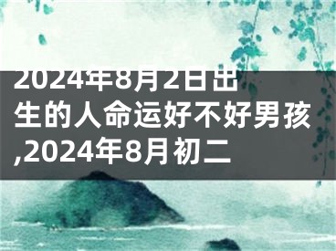 2024年8月2日出生的人命运好不好男孩,2024年8月初二