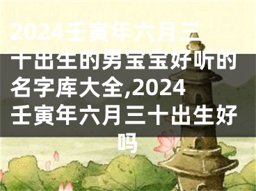 2024壬寅年六月三十出生的男宝宝好听的名字库大全,2024壬寅年六月三十出生好吗