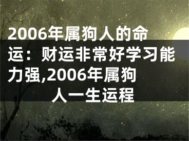 2006年属狗人的命运：财运非常好学习能力强,2006年属狗人一生运程