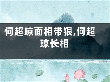 何超琼面相带狠,何超琼长相