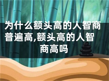 为什么额头高的人智商普遍高,额头高的人智商高吗