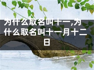 为什么取名叫十一,为什么取名叫十一月十二日