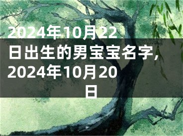2024年10月22日出生的男宝宝名字,2024年10月20日