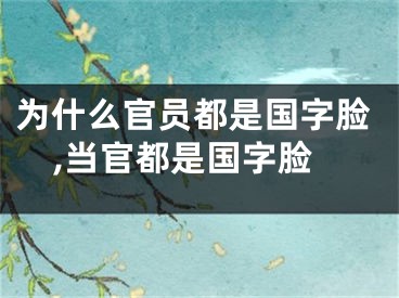 为什么官员都是国字脸,当官都是国字脸