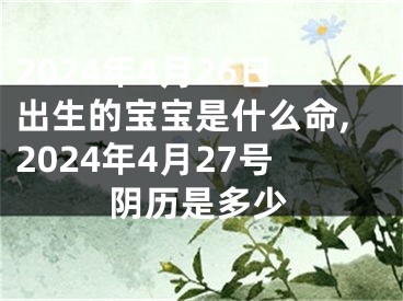 2024年4月26日出生的宝宝是什么命,2024年4月27号阴历是多少
