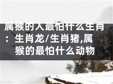 属猴的人最怕什么生肖：生肖龙/生肖猪,属猴的最怕什么动物