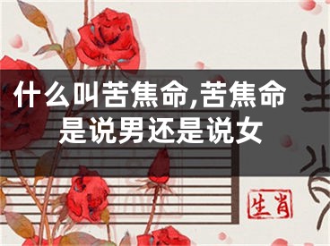 什么叫苦焦命,苦焦命是说男还是说女