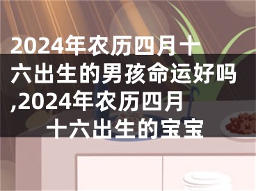 2024年农历四月十六出生的男孩命运好吗,2024年农历四月十六出生的宝宝