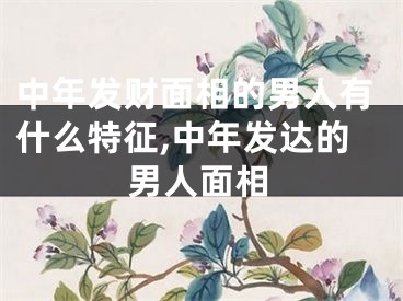 中年发财面相的男人有什么特征,中年发达的男人面相