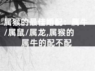 属猴的最佳婚配：属牛/属鼠/属龙,属猴的属牛的配不配