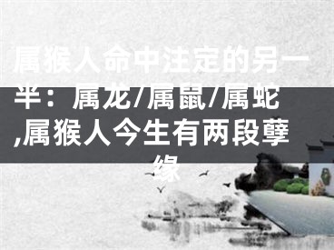 属猴人命中注定的另一半：属龙/属鼠/属蛇,属猴人今生有两段孽缘