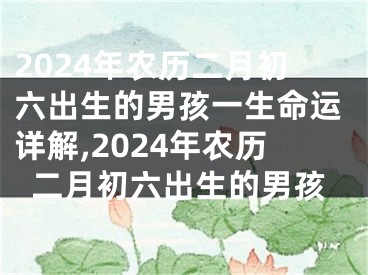 2024年农历二月初六出生的男孩一生命运详解,2024年农历二月初六出生的男孩