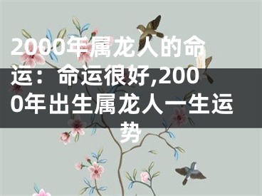 2000年属龙人的命运：命运很好,2000年出生属龙人一生运势