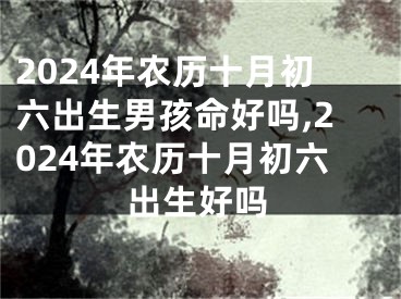 2024年农历十月初六出生男孩命好吗,2024年农历十月初六出生好吗