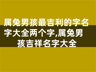 属兔男孩最吉利的字名字大全两个字,属兔男孩吉祥名字大全