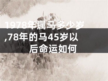 1978年属马多少岁,78年的马45岁以后命运如何