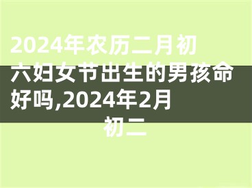 2024年农历二月初六妇女节出生的男孩命好吗,2024年2月初二