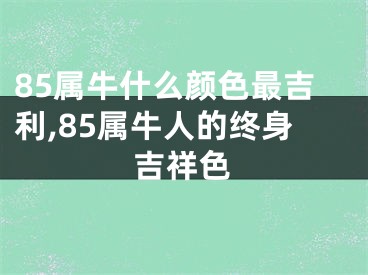 85属牛什么颜色最吉利,85属牛人的终身吉祥色