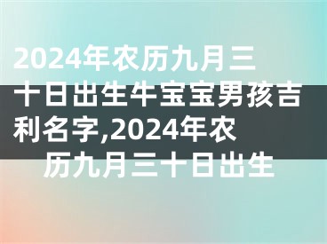 2024年农历九月三十日出生牛宝宝男孩吉利名字,2024年农历九月三十日出生