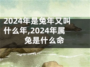2024年是兔年又叫什么年,2024年属兔是什么命