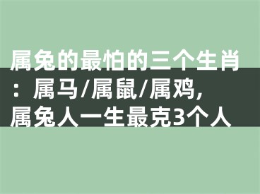 属兔的最怕的三个生肖：属马/属鼠/属鸡,属兔人一生最克3个人