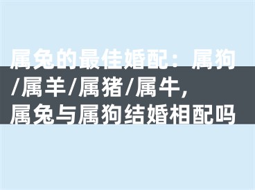 属兔的最佳婚配：属狗/属羊/属猪/属牛,属兔与属狗结婚相配吗