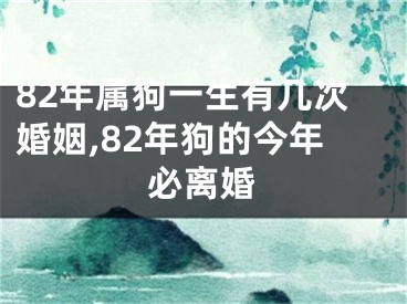 82年属狗一生有几次婚姻,82年狗的今年必离婚