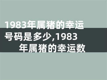 1983年属猪的幸运号码是多少,1983年属猪的幸运数