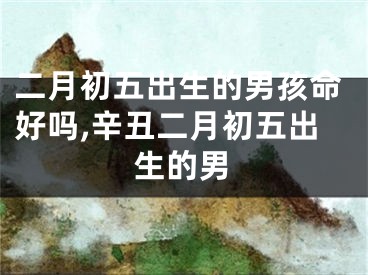 二月初五出生的男孩命好吗,辛丑二月初五出生的男