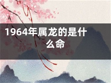 1964年属龙的是什么命