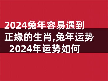 2024兔年容易遇到正缘的生肖,兔年运势2024年运势如何