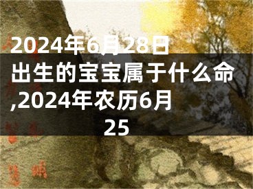 2024年6月28日出生的宝宝属于什么命,2024年农历6月25