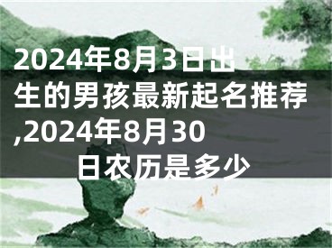 2024年8月3日出生的男孩最新起名推荐,2024年8月30日农历是多少