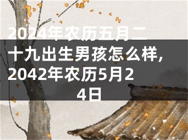 2024年农历五月二十九出生男孩怎么样,2042年农历5月24日