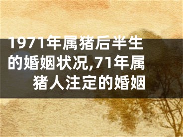 1971年属猪后半生的婚姻状况,71年属猪人注定的婚姻