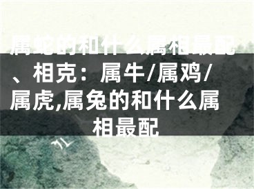 属蛇的和什么属相最配、相克：属牛/属鸡/属虎,属兔的和什么属相最配