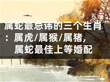 属蛇最忌讳的三个生肖：属虎/属猴/属猪,属蛇最佳上等婚配