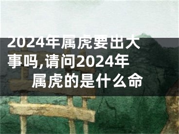 2024年属虎要出大事吗,请问2024年属虎的是什么命