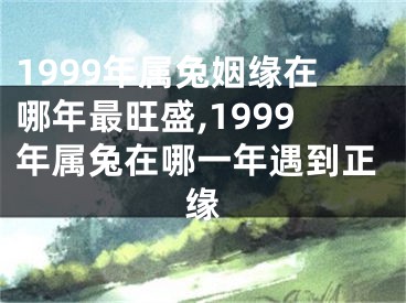 1999年属兔姻缘在哪年最旺盛,1999年属兔在哪一年遇到正缘