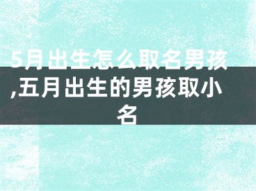 5月出生怎么取名男孩,五月出生的男孩取小名