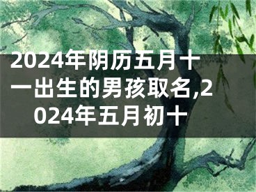 2024年阴历五月十一出生的男孩取名,2024年五月初十