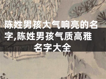 陈姓男孩大气响亮的名字,陈姓男孩气质高雅名字大全