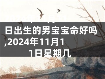 2024年11月11日出生的男宝宝命好吗,2024年11月11日星期几