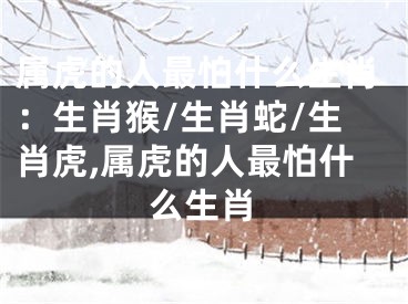 属虎的人最怕什么生肖：生肖猴/生肖蛇/生肖虎,属虎的人最怕什么生肖