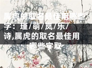 属虎的取名最佳用哪些字：瑾/萌/岚/乐/诗,属虎的取名最佳用哪些字取