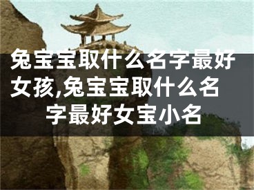兔宝宝取什么名字最好女孩,兔宝宝取什么名字最好女宝小名